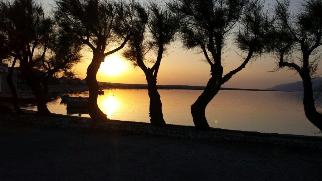 Priscilla Apartment Ražanac Εξωτερικό φωτογραφία